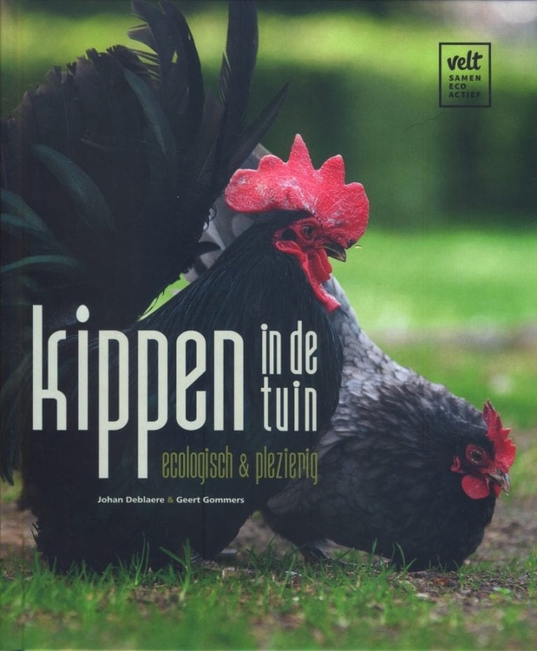 Kippen in de Tuin MergenMetz