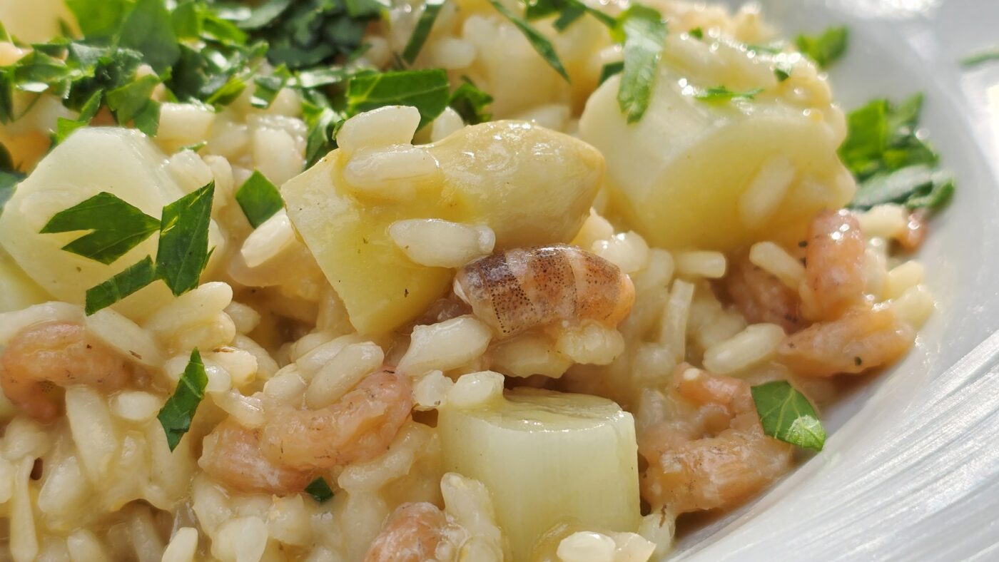 asperges garnalen