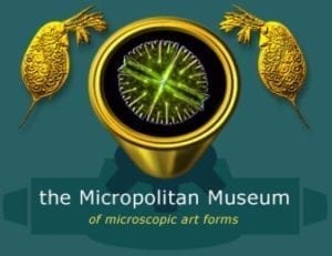micropolitan museum vignet