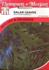 rauwkost - herby salad leaf mixed