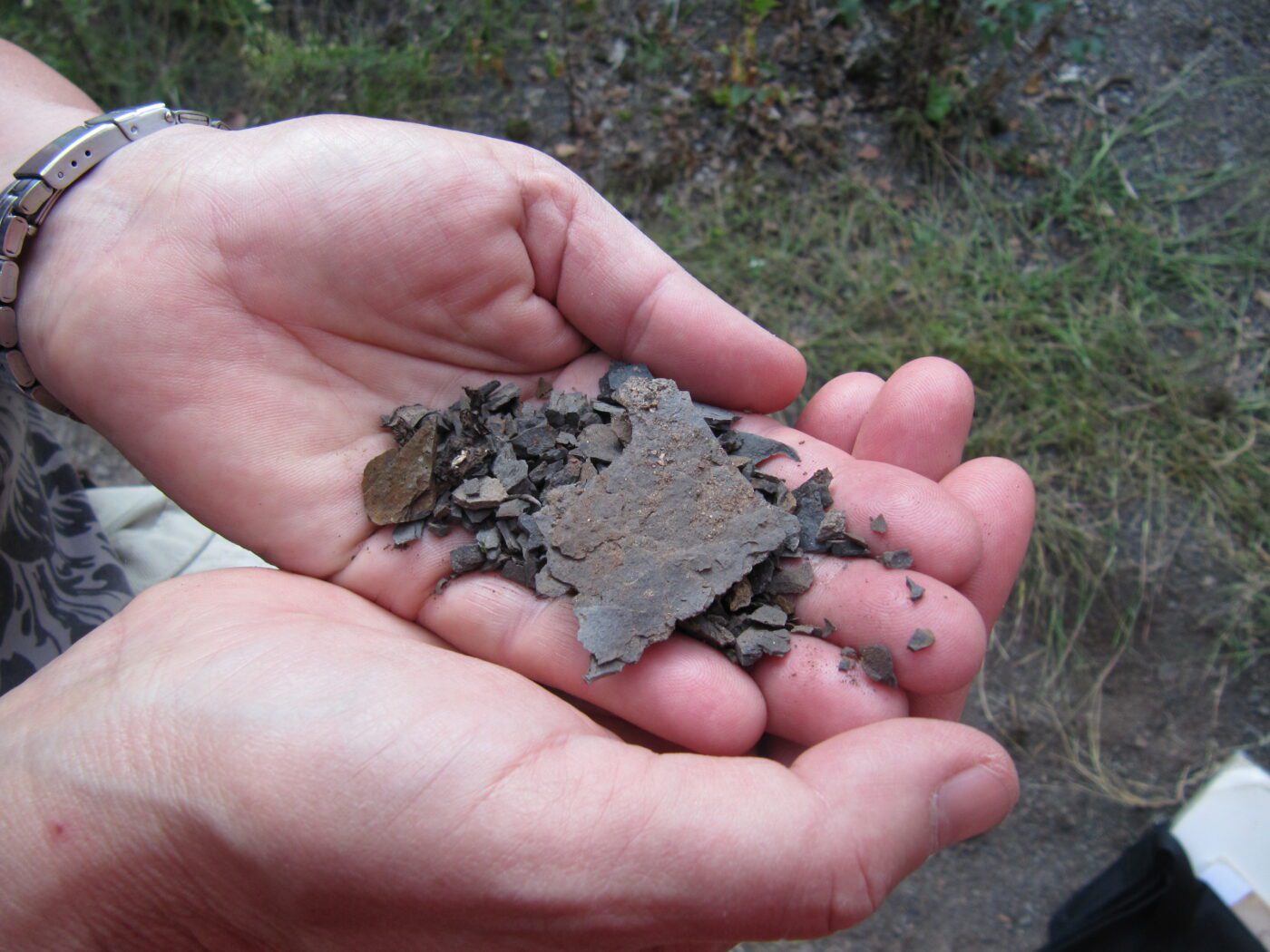 messel schalie