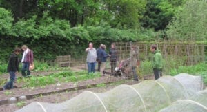 de-moestuin