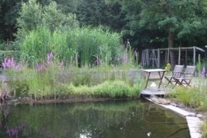 waterzuivering 3