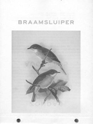 vogelscheurkalender 2015 - braamsluiper
