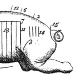 Amsterdam Symposium on the History of Food