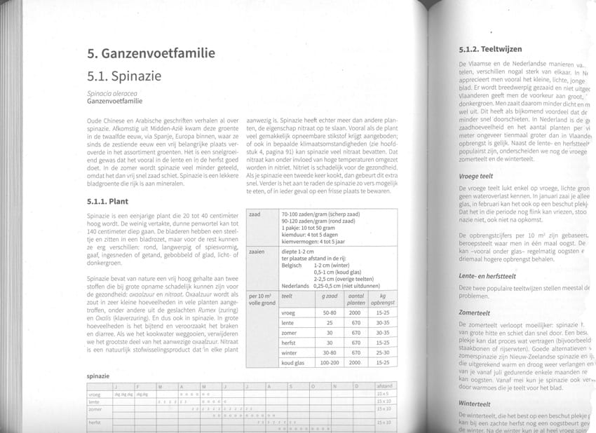 Voorbeeld plantbeschrijving - spinazie