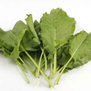 Zuring 'Large de Belleville' (zaad)