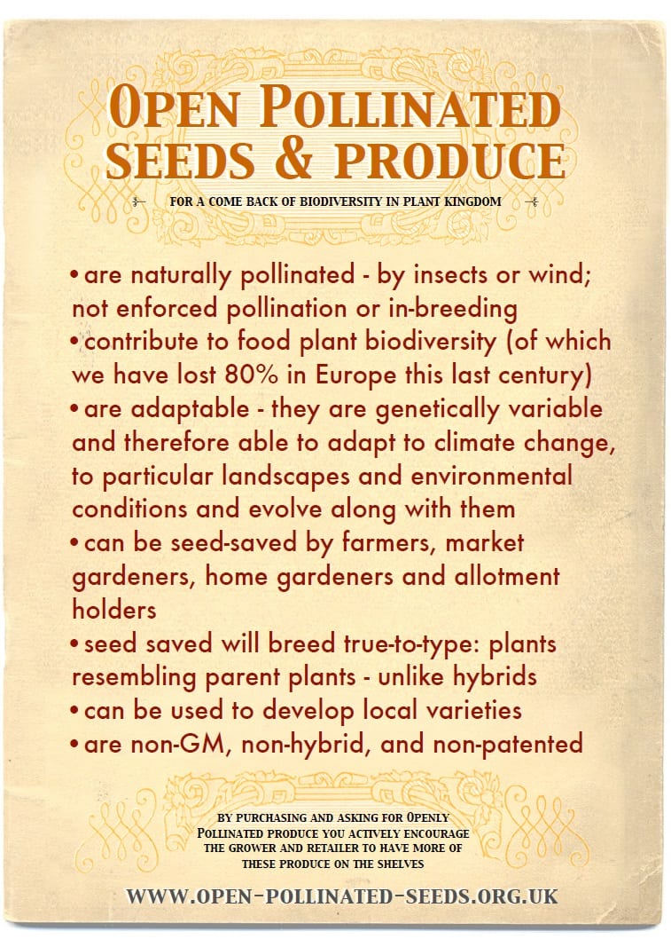 Open Pollinated Seeds - poster print