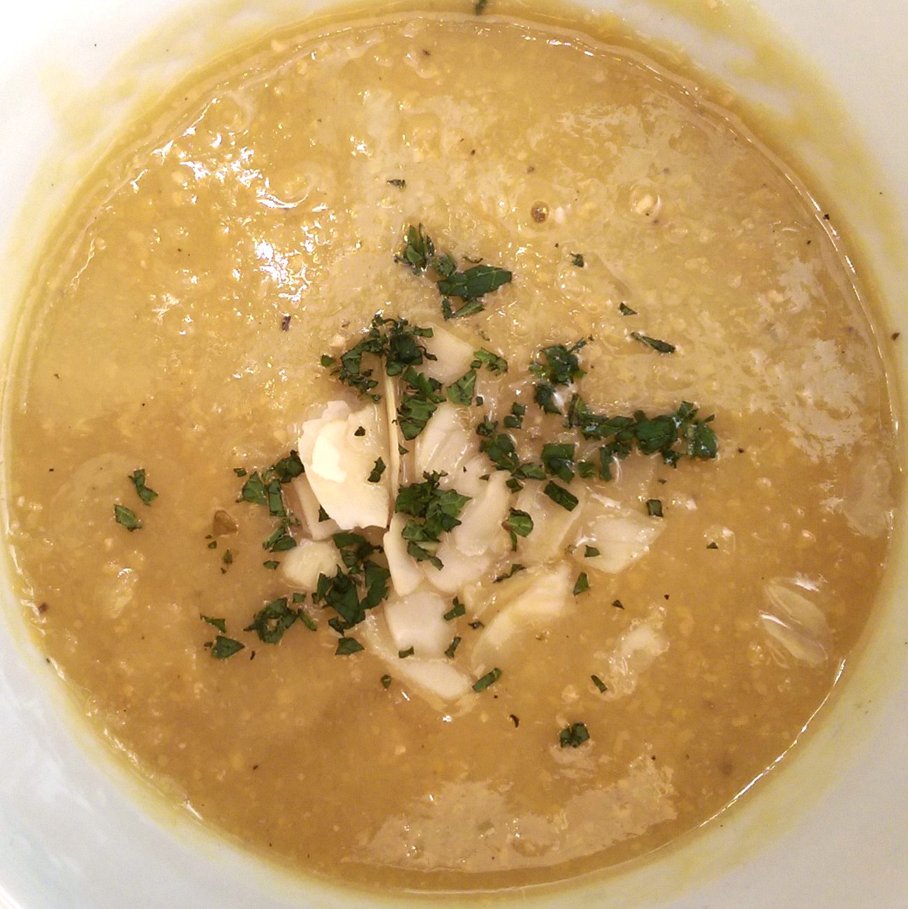 rabarber kikkerwerwten