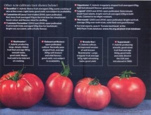 The Garden - tomaten 1