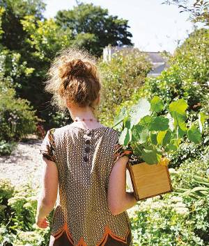 Basisboek tuinieren - Alys met kistje