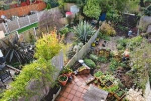Basisboek tuinieren - achtertuin