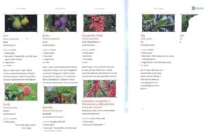 Een kleine eetbare tuin - fragment plantenlijst