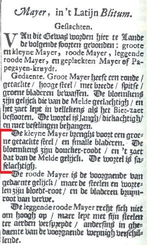 Niet uit het boek van Oostwoud, maar dit laat zien dat mayer of majer al een heel oud Nederlands gewas is.