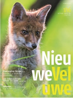 Nieuwe Veluwe - cover