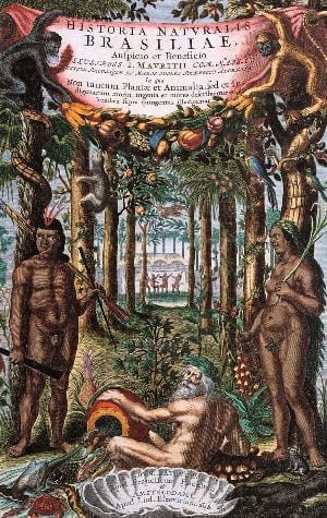 Botanische Meesterwerken - Historia-Naturalis-Brasiliae