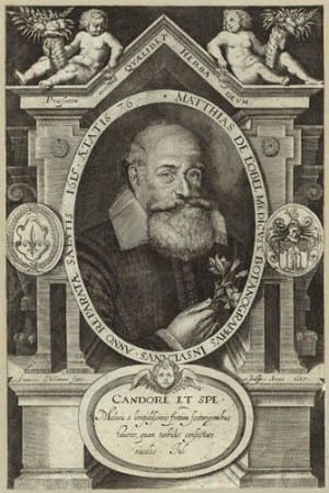 Matthias de Lobel (Lobelius) - afb: Wiki Commons