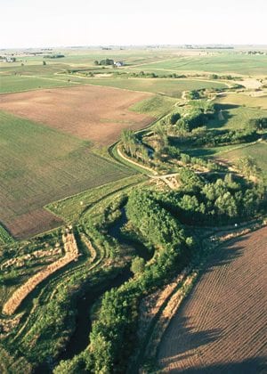 Multiple rows of trees and shrubs, as well as a native grass strip, combine in a riparian buffer to protect Bear Creek in Story County, Iowa. The buffer, on the Ron Risdal and Lonnie Strum farms, is a nationally designated demonstration area for riparian buffers.