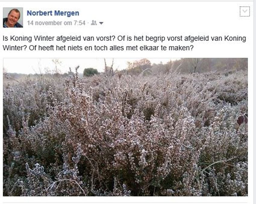 koning-winter-facebook-het-begin