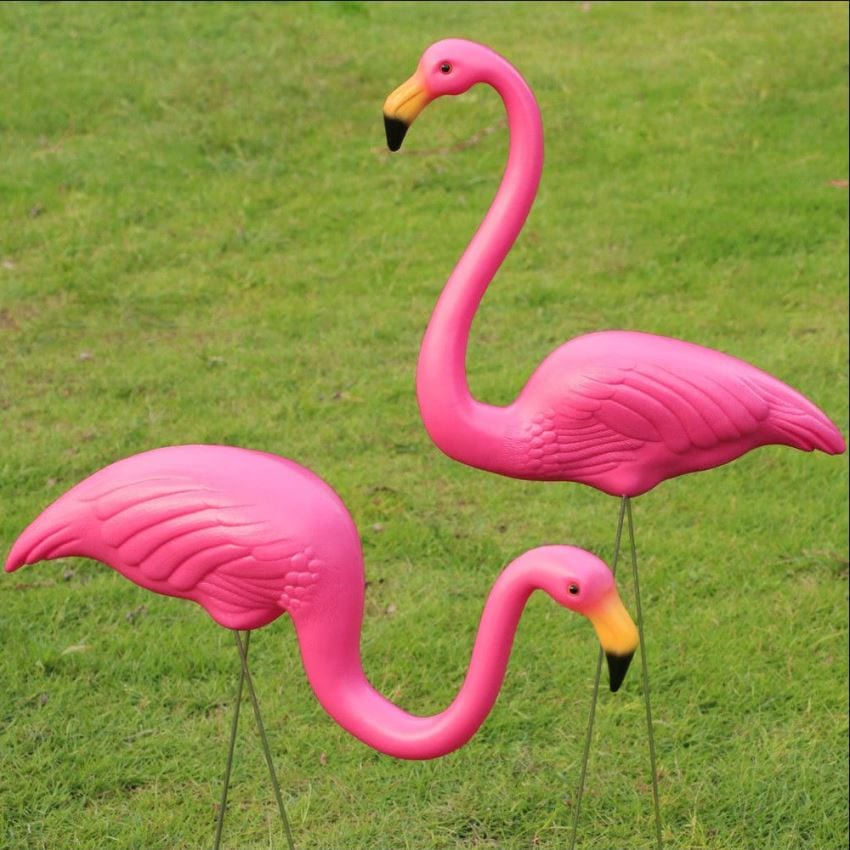 Roze flamingo's in de -