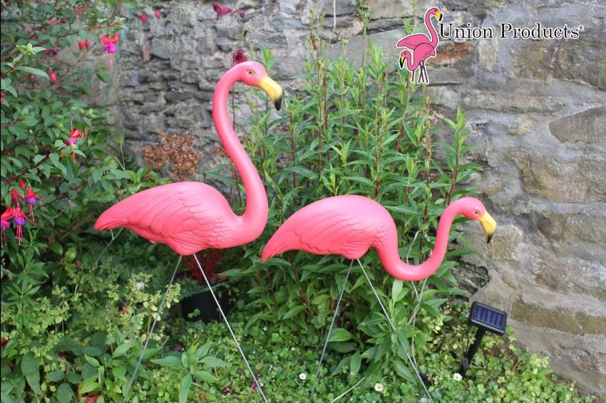 salto Raadplegen Sportschool Roze flamingo's in de tuin - De Tuinen van MergenMetz