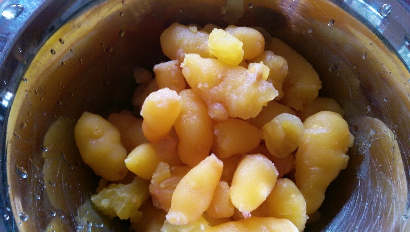 oca oxalis tuberosa