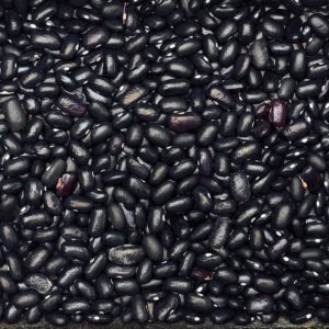 tepary boon black mitla