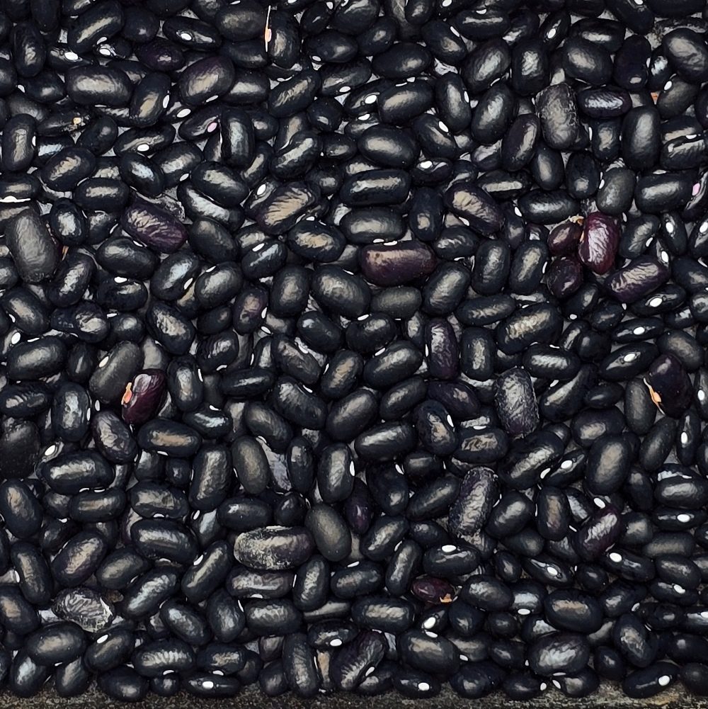 tepary boon black mitla