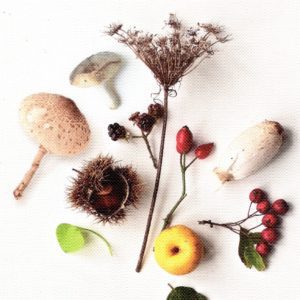 wildplukken