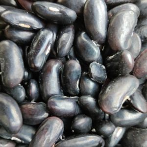 Pronkboon Salford Black (zaad)