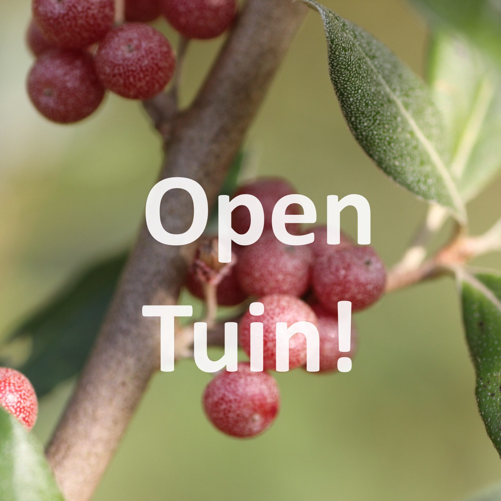 Open Tuin!