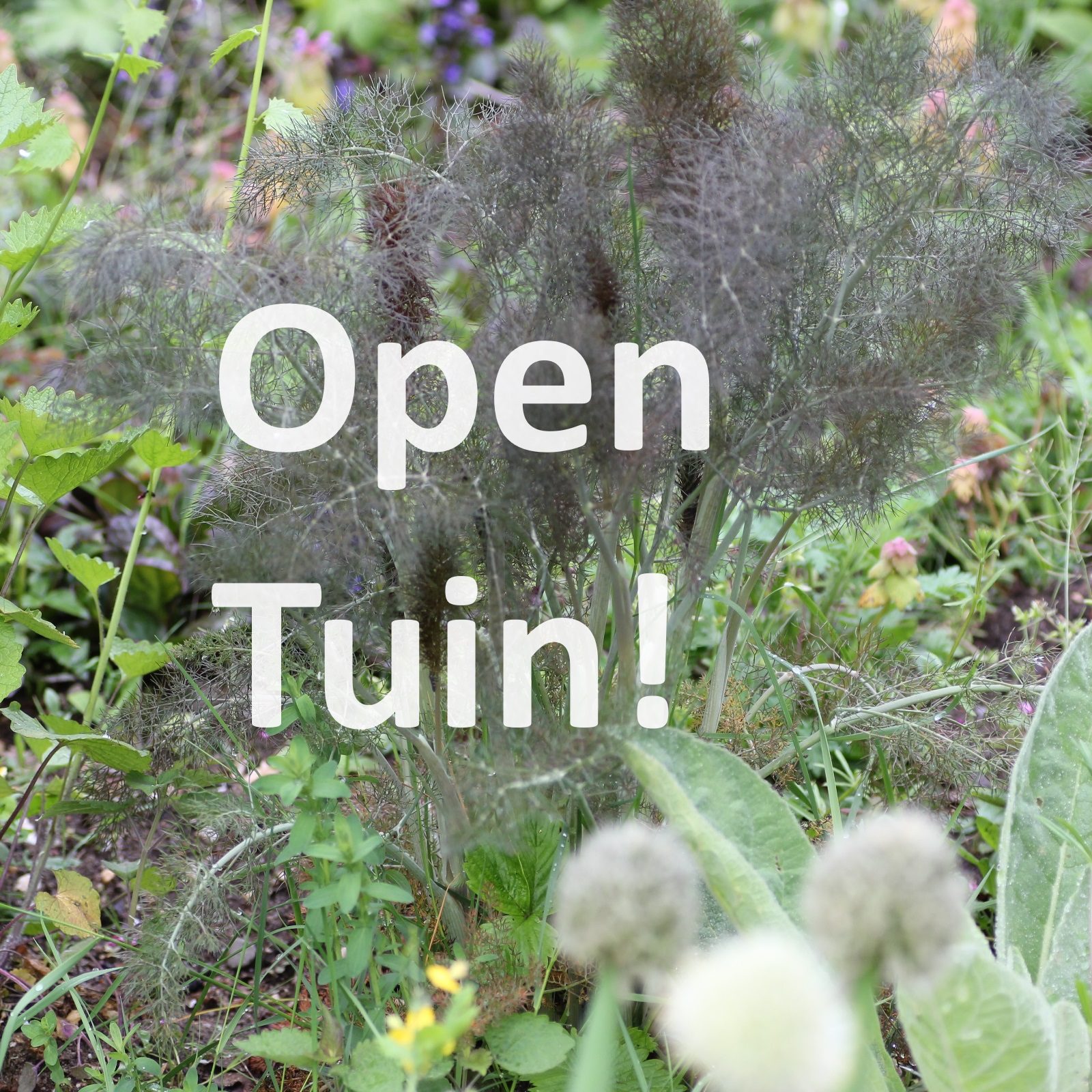Open Tuin! – De eerste keer dit jaar