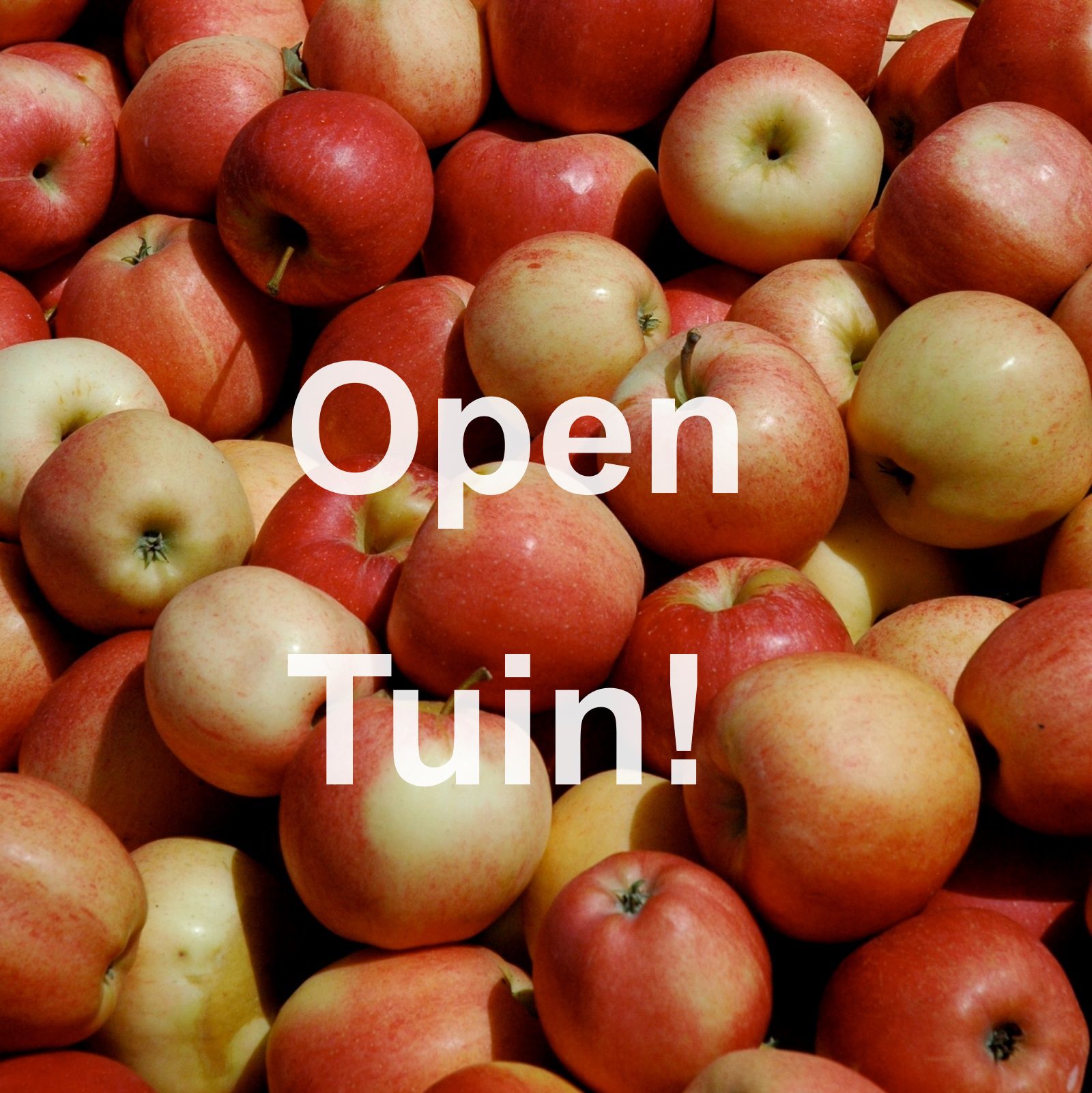 Open Tuin in september Open Tuin in september