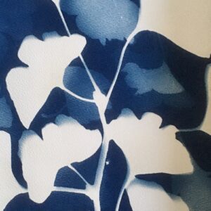 Cyanotypie - blauwdrukken met planten