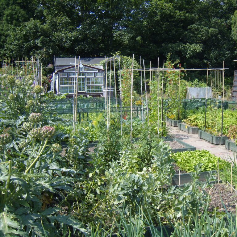 moestuin
