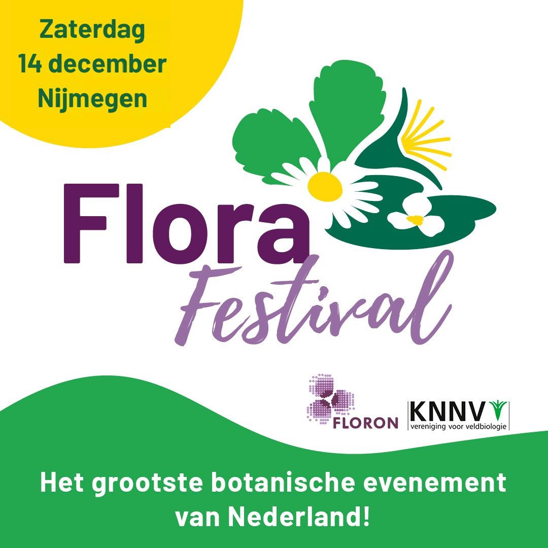 Flora Festival 2024