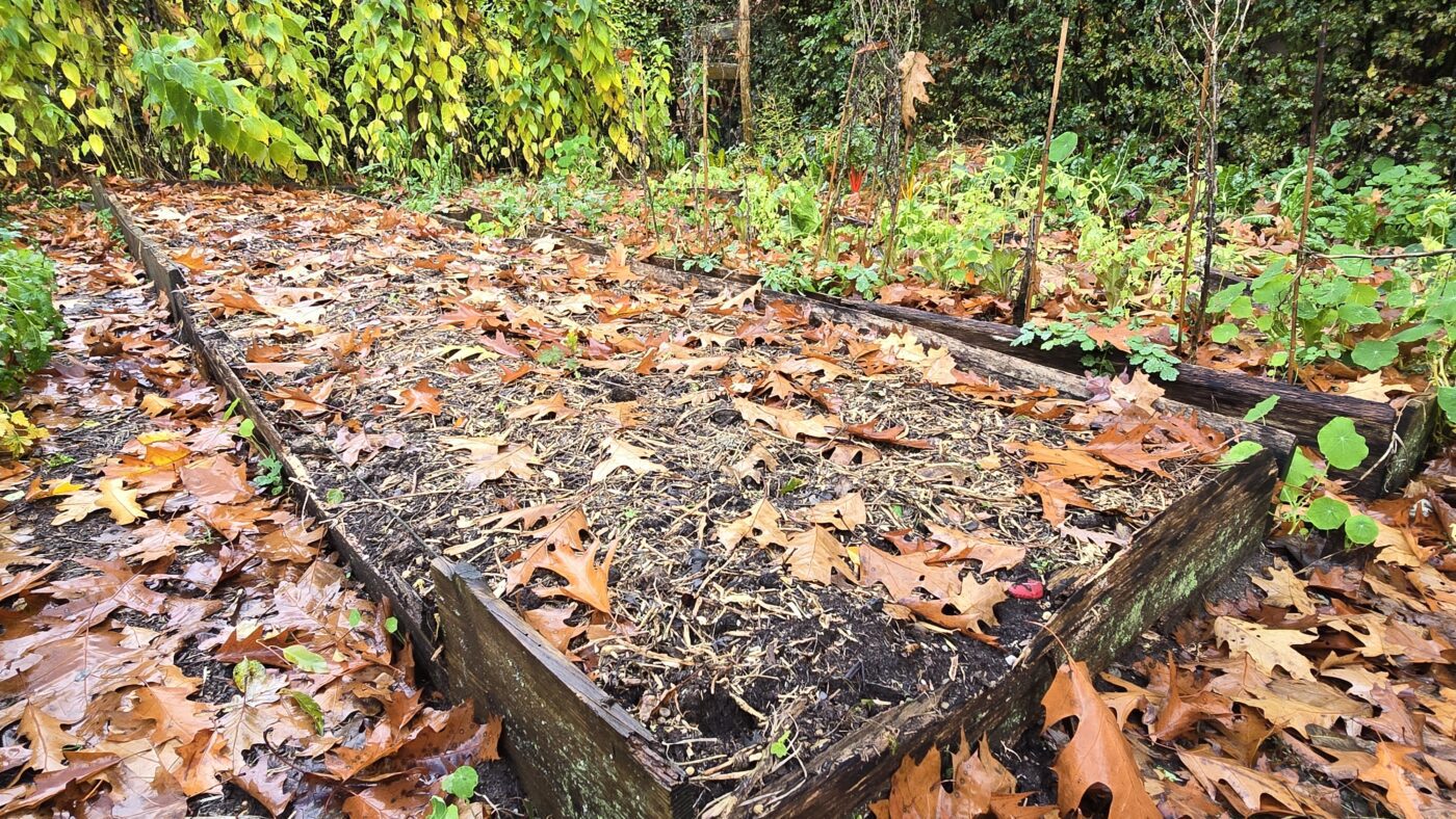 november moestuin mulch
