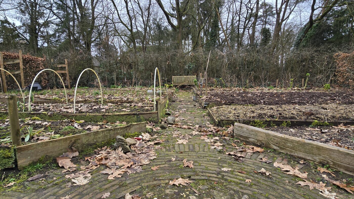 maart in de tuin moestuin