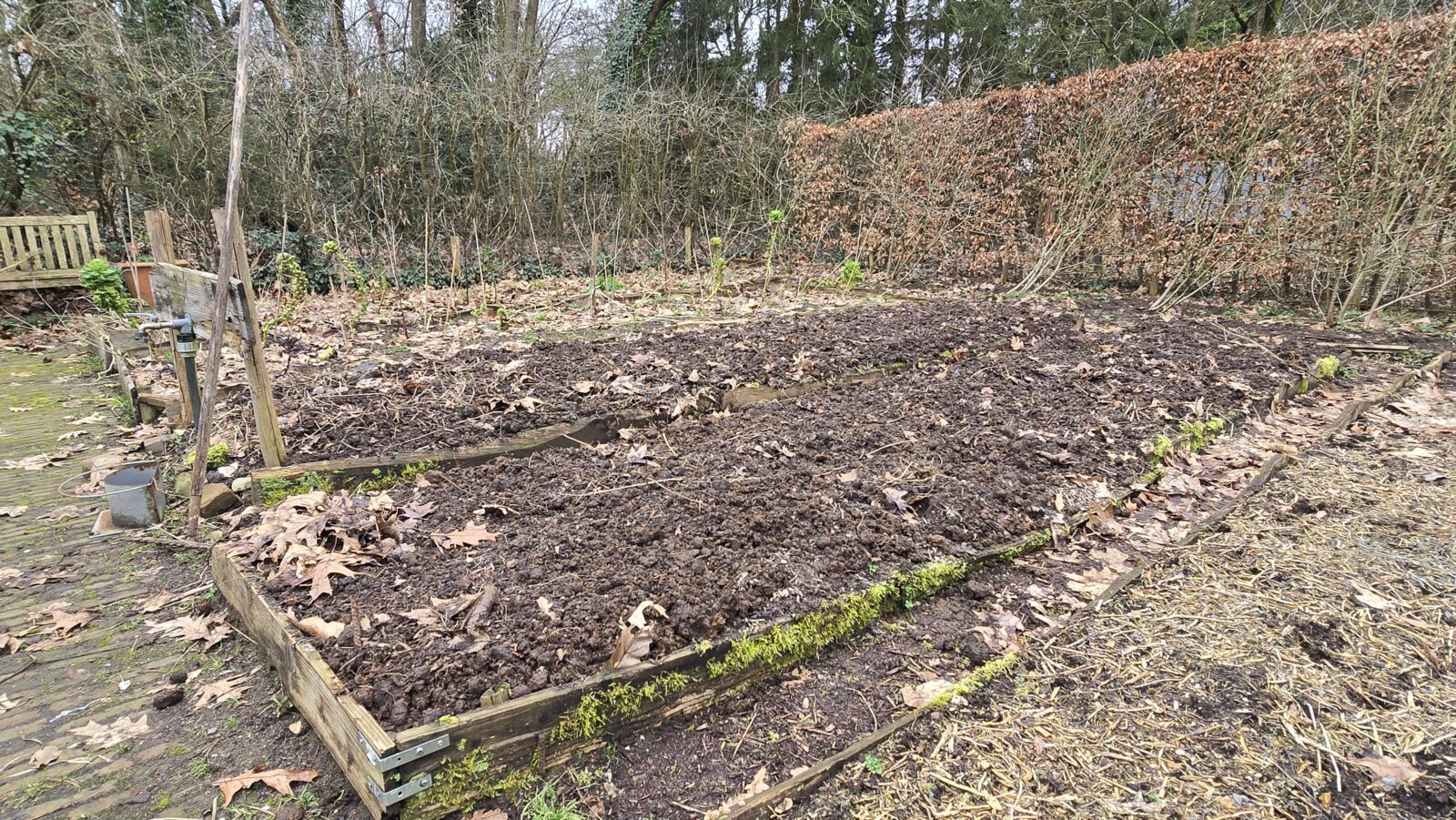 maart in de tuin moestuin