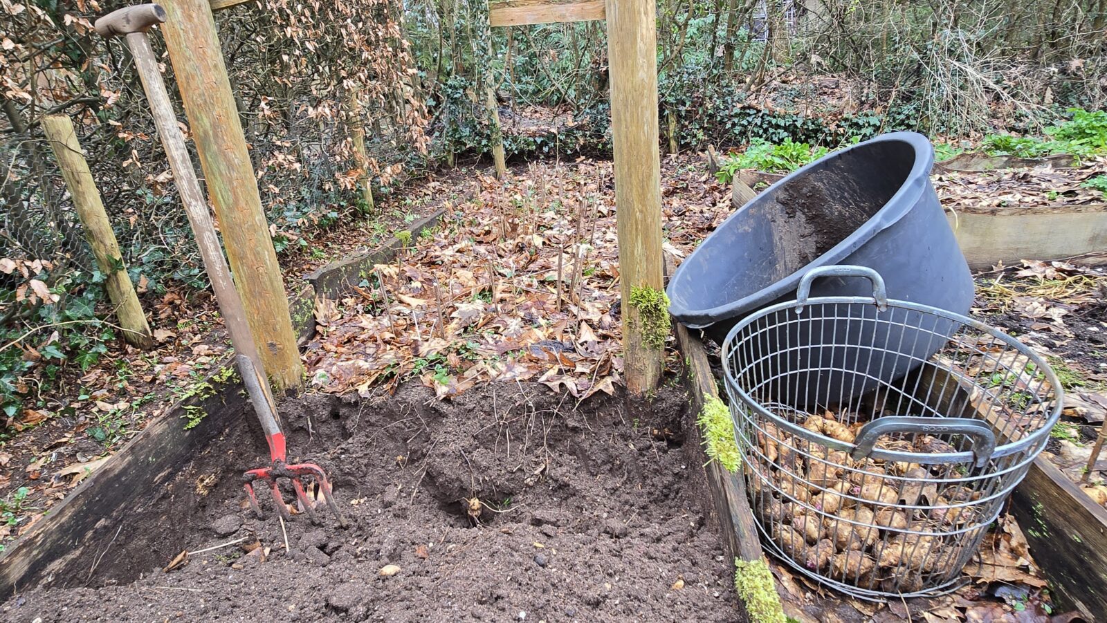 maart in de tuin moestuin aardperen