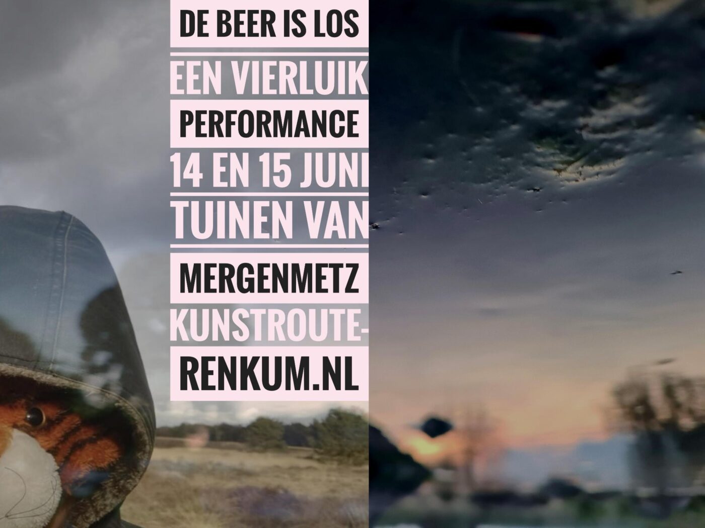 De beer is los