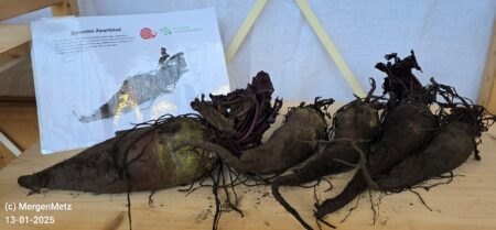 25 oktober 2025 - Ark van de Smaak-diner Herfst [V] - Afbeelding 14