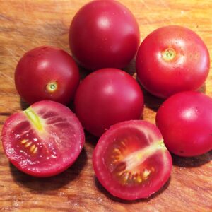Buitentomaat Hato-rood (zaad)