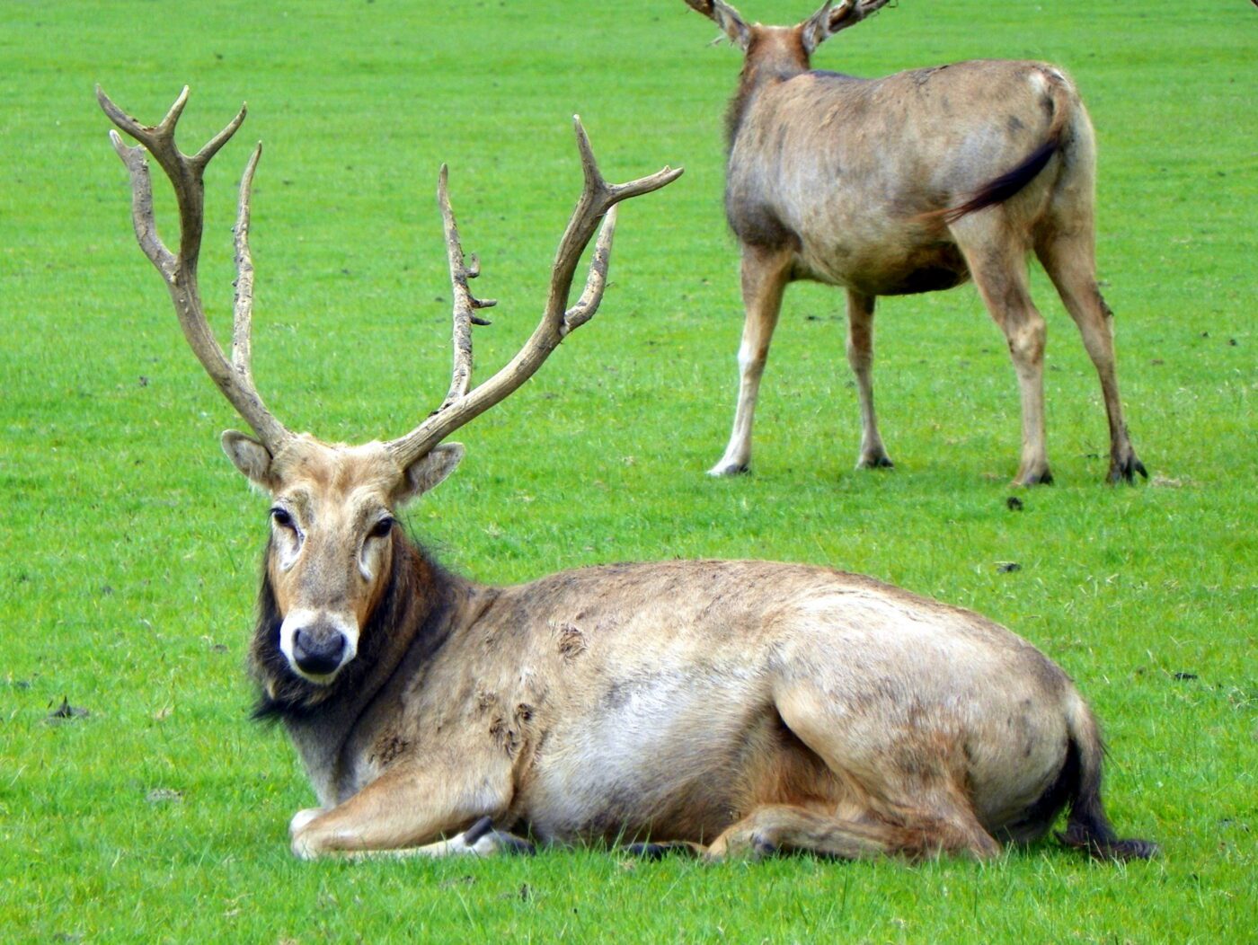 Natuurpark Lelystad