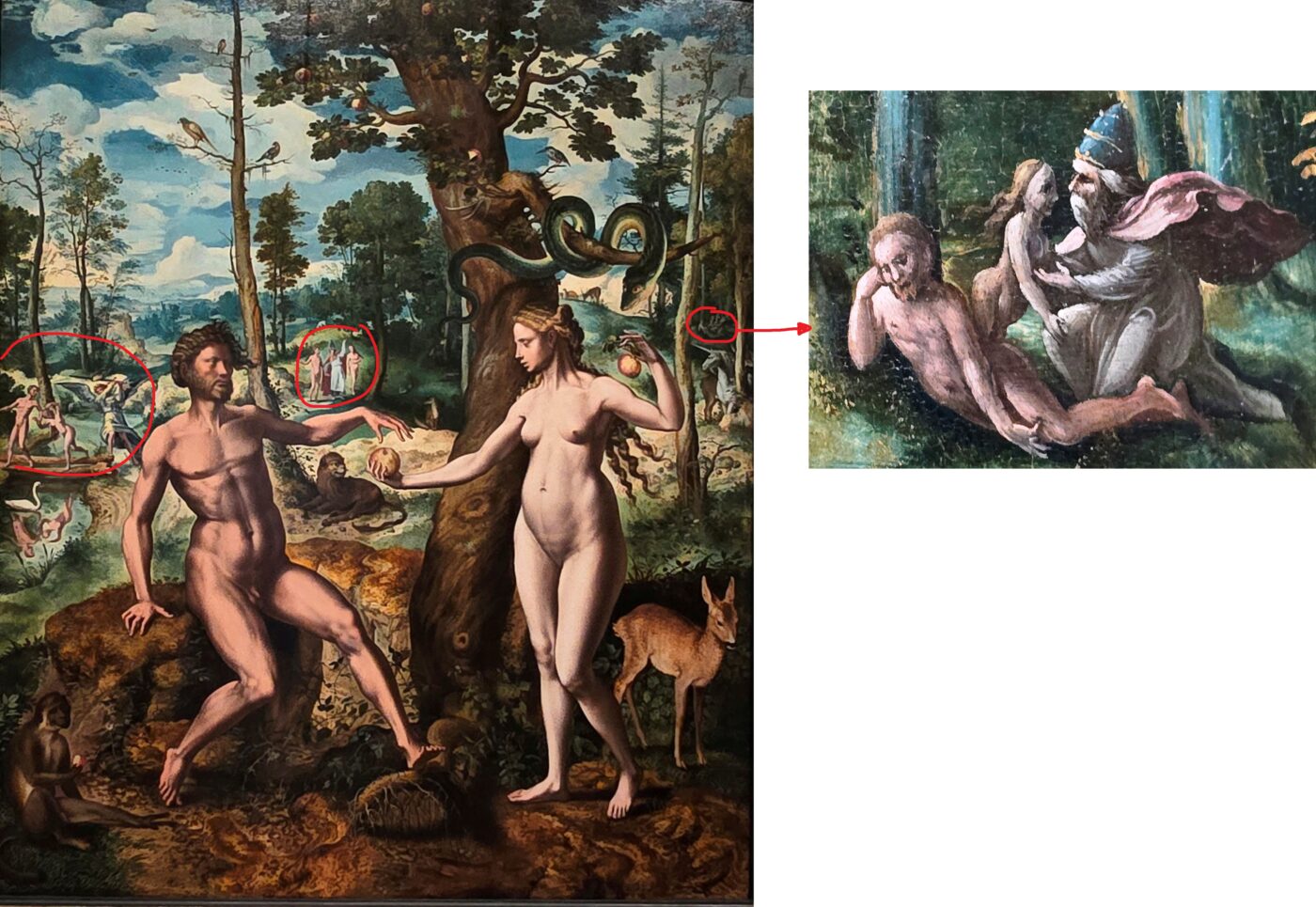 tuin paradijs hof van eden