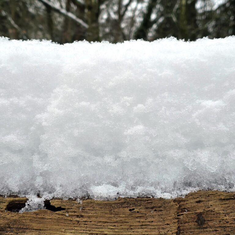 sneeuw in de tuin