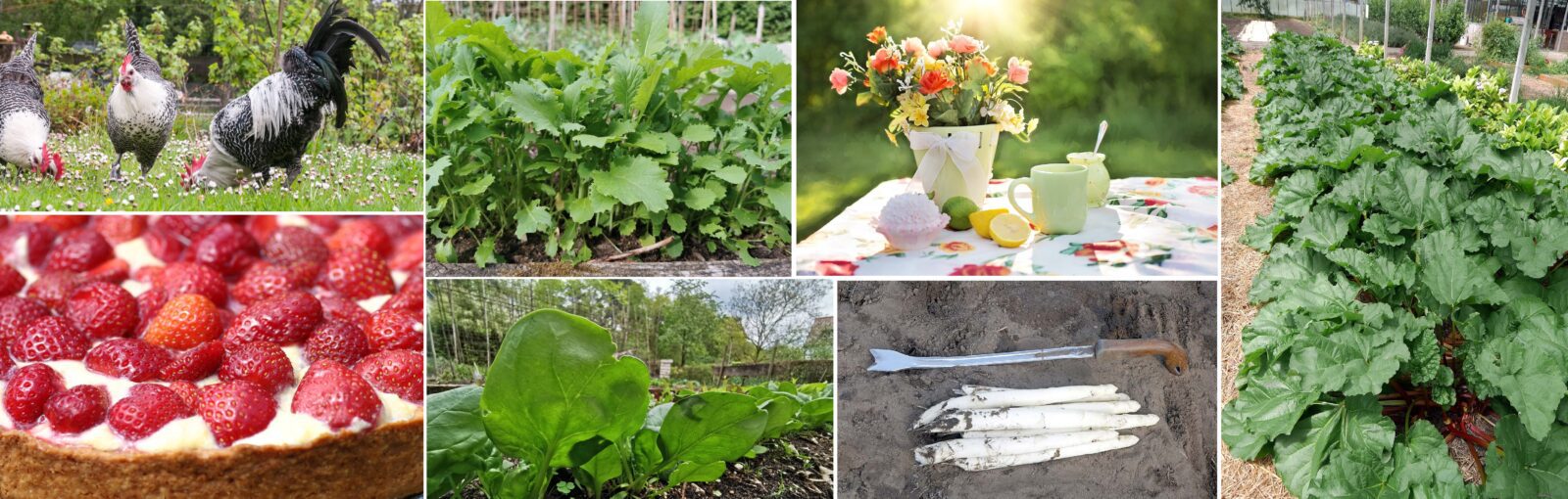 Ark van de Smaak lente