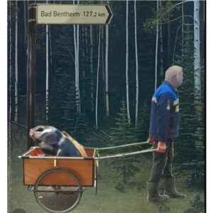 boer peter loopt sengersbroek