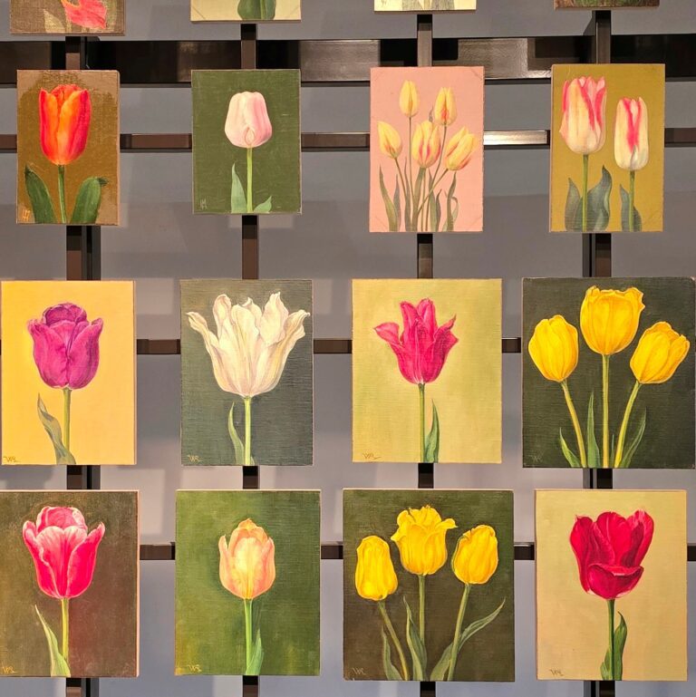 tulp