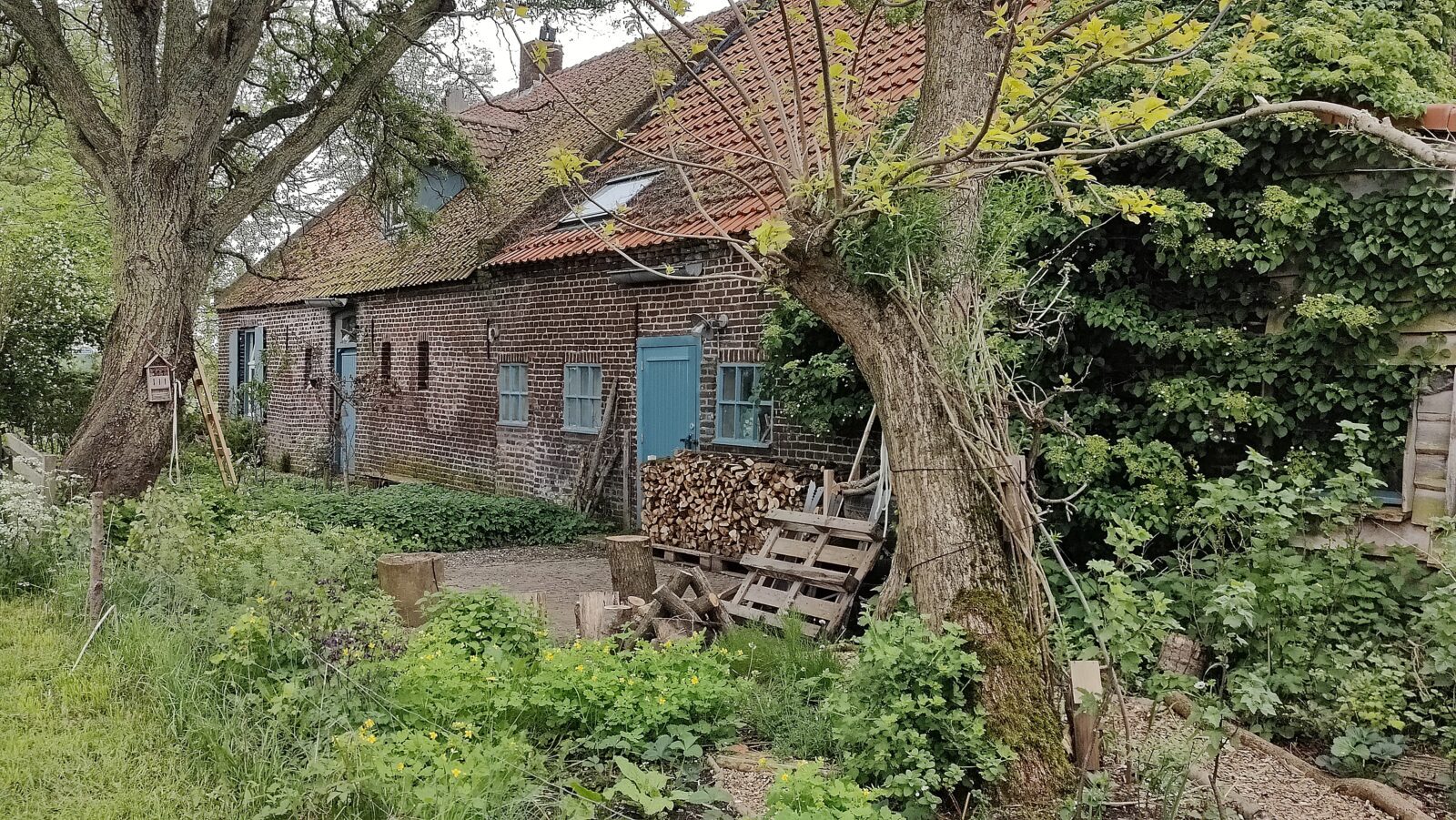 Sengersbroek - Boer Peter